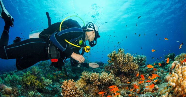 Sharm el-Sheikh: Important Things to Know About