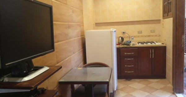 Studio-family room
